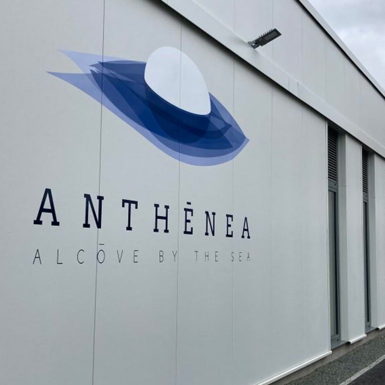the-anthenea-factory